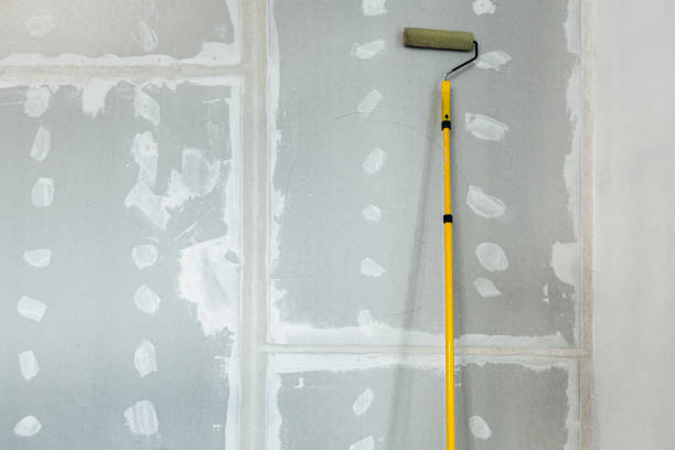 Trusted Corte Madera, CA Mold Removal Experts