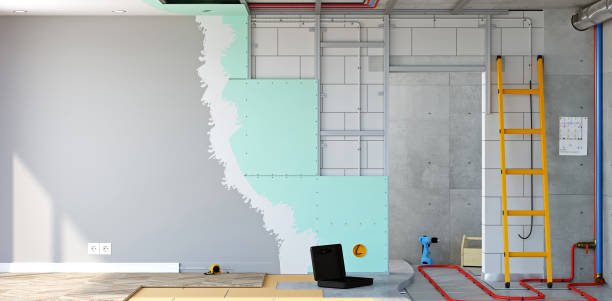 Best Basement Mold Removal  in Corte Madera, CA