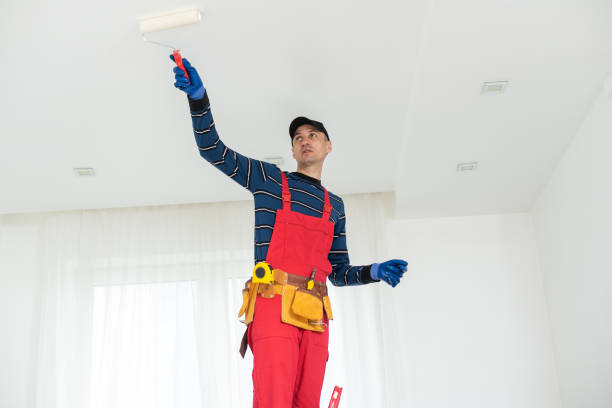 Best Mold Damage Restoration  in Corte Madera, CA