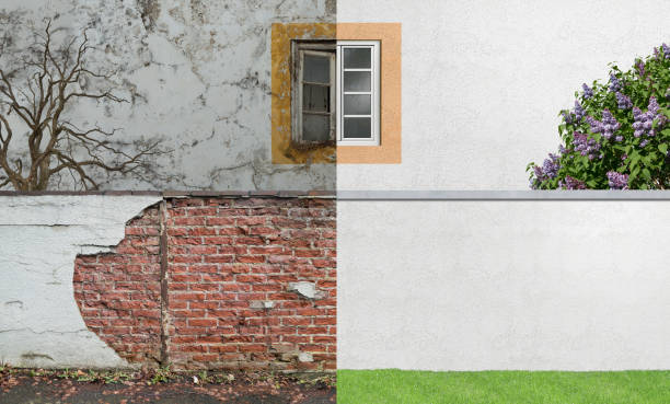 Best Commercial Mold Inspection  in Corte Madera, CA